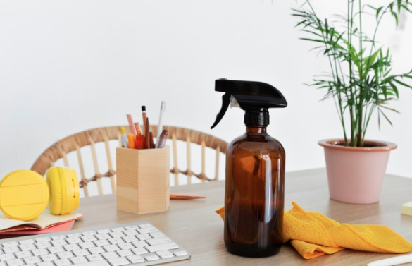 Best budget-friendly cleaning services in SD